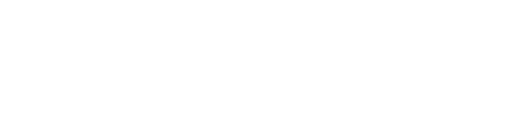 Pacer Grinding Wheels